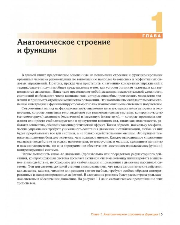 Мышечная механика