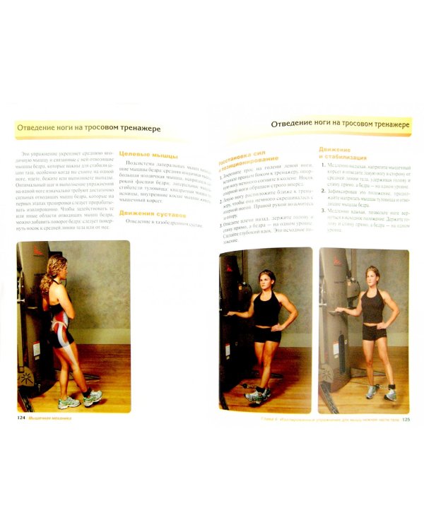 Мышечная механика