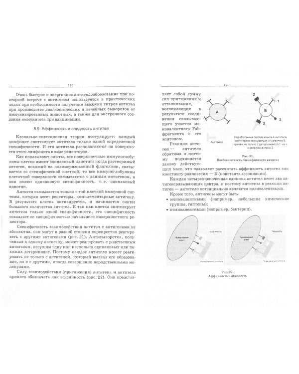 Теоретическая и практическая иммунология. Учебное пособие