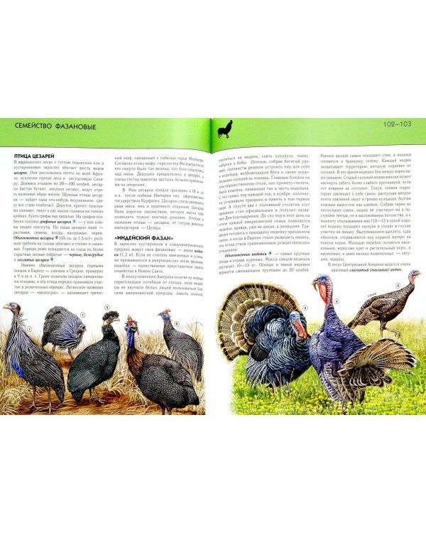 Птицы. Полная энциклопедия