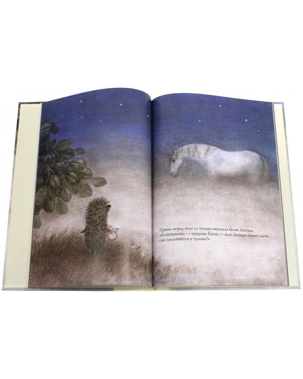 Ежик в тумане