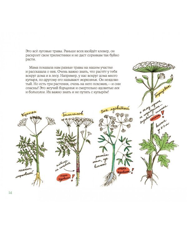 Лето в Деревне