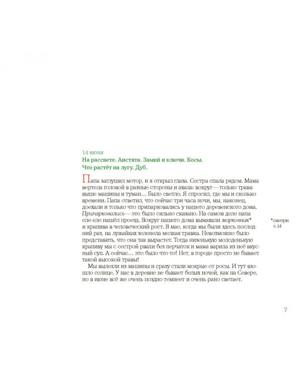 Лето в Деревне