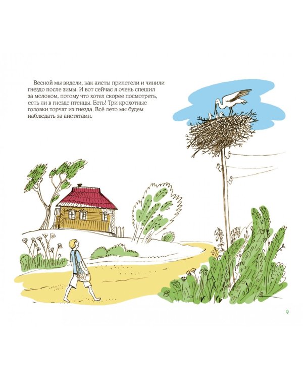 Лето в Деревне