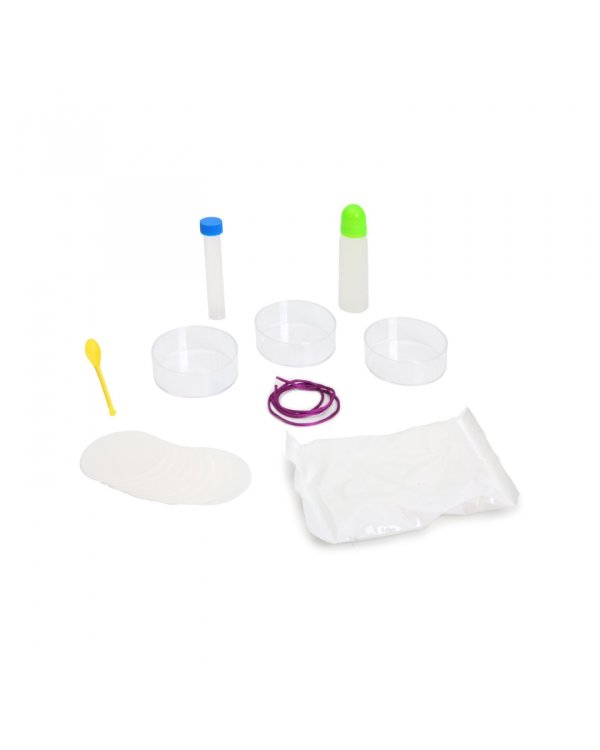 Японские опыты. Науки с Буки. Выращиваем кристаллы