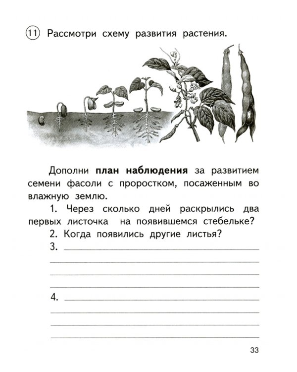 Окружающий мир. 2 класс. Школьная олимпиада. Тетрадь