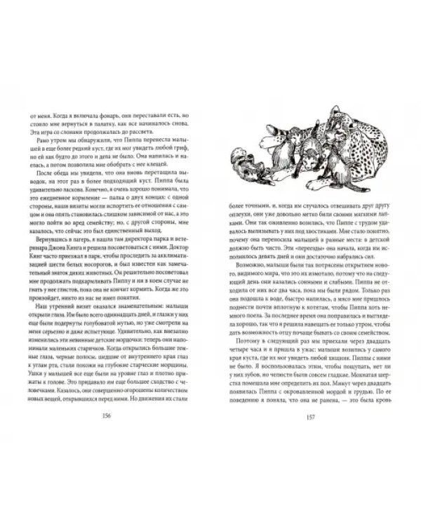 Пиппа, или Пятнистый сфинкс