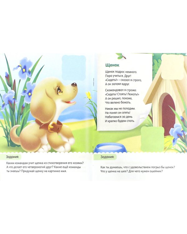 Домашние любимцы