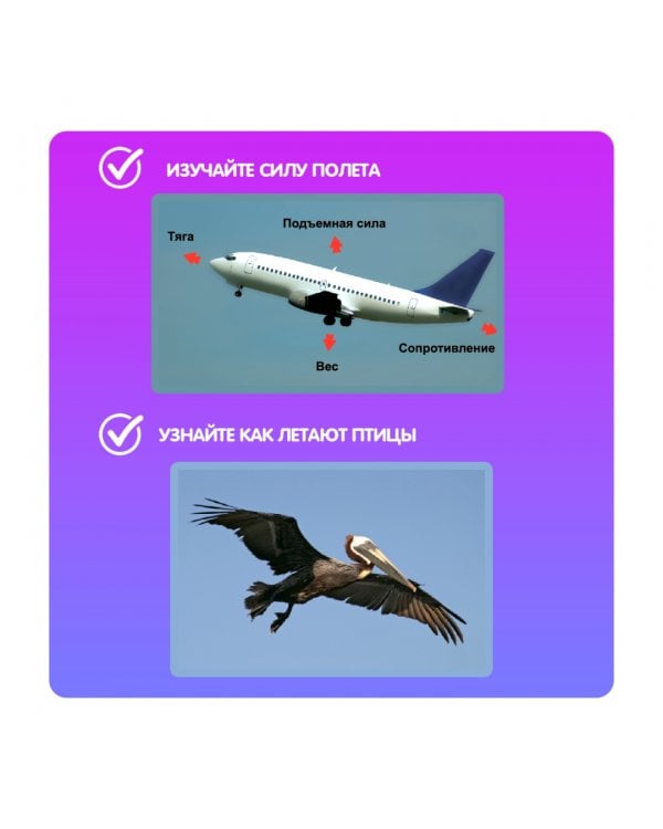 Французские опыты. Науки с Буки. Полетели!