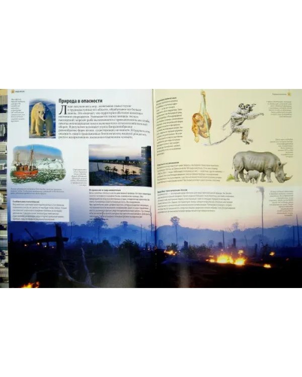 Наше время. От достижений науки до социальных перемен