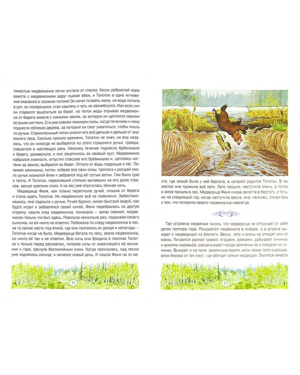 Медвежонок Топоток