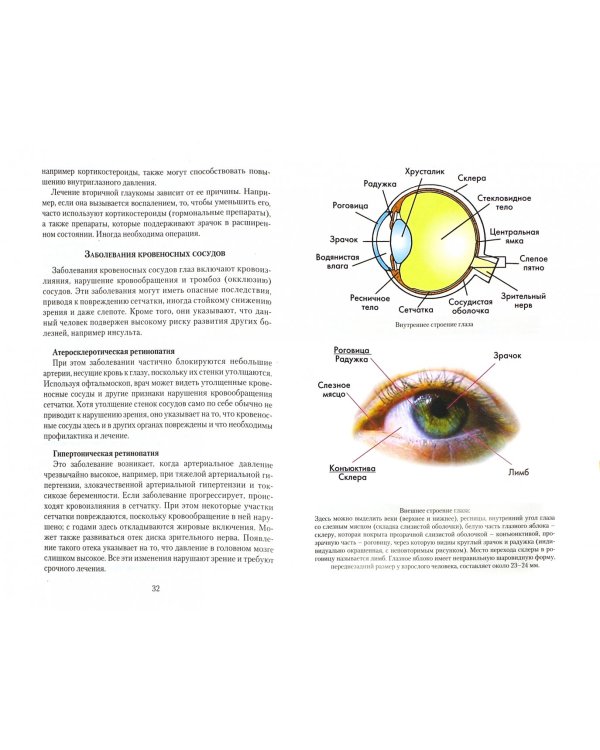 Болезни глаз.Причины,лечение,профилактика.Мифы и реальность