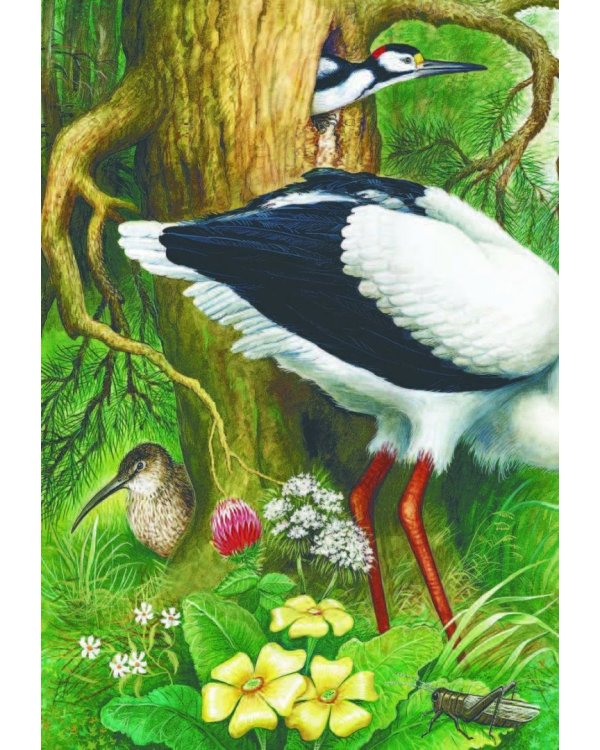 Рассказы и сказки о животных