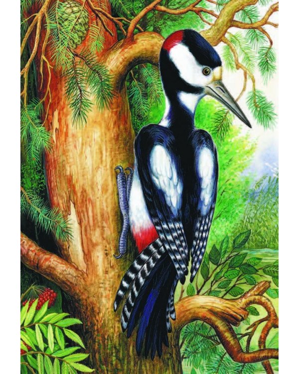 Рассказы и сказки о животных