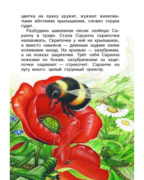 Рассказы и сказки о животных