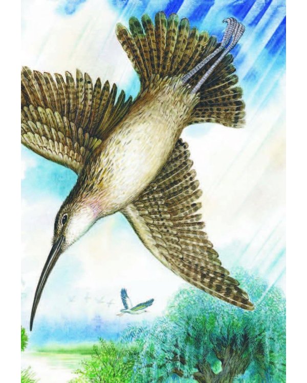 Рассказы и сказки о животных