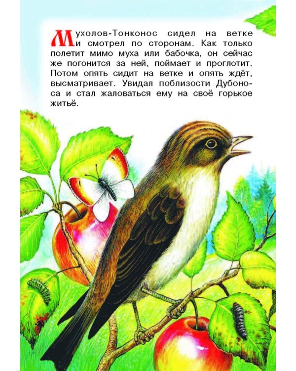 Рассказы и сказки о животных