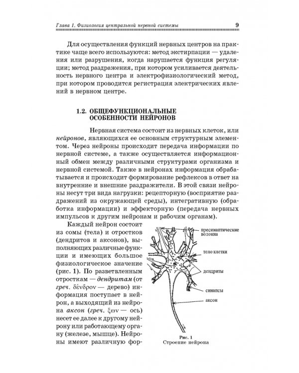 Физиология мышечной и нервной систем. Учебное пособие