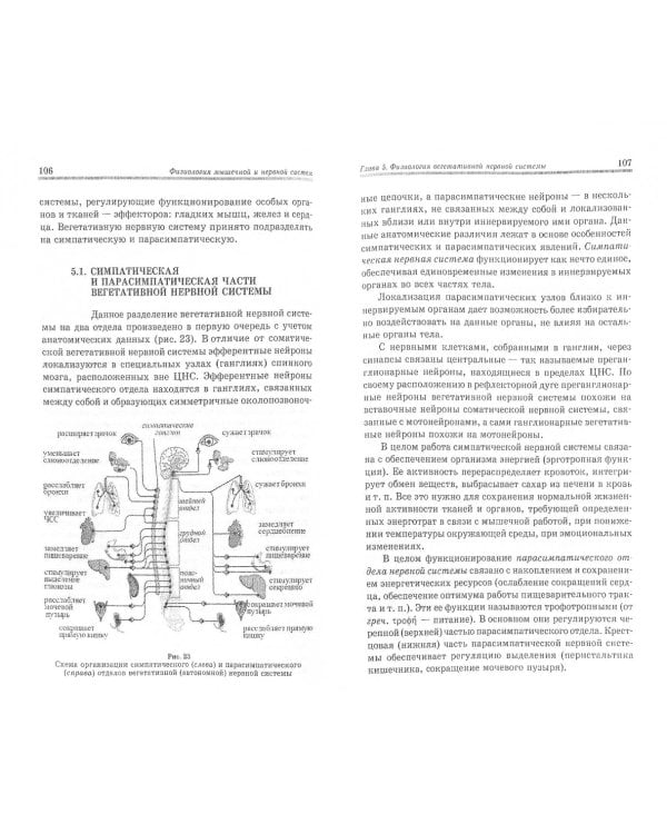 Физиология мышечной и нервной систем. Учебное пособие