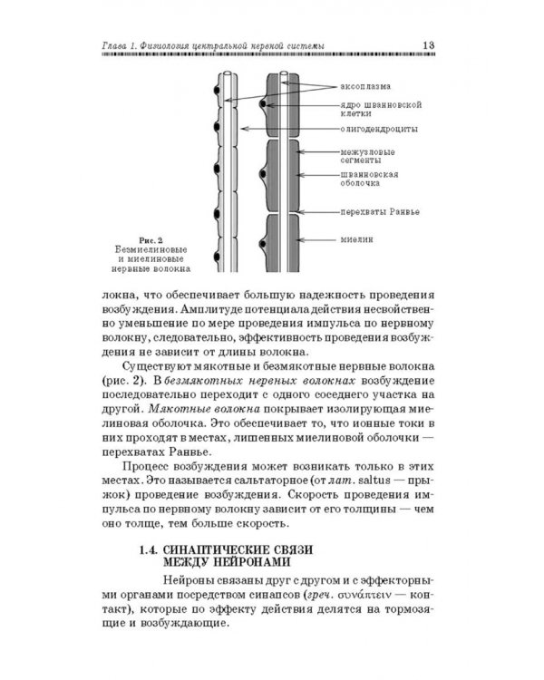 Физиология мышечной и нервной систем. Учебное пособие