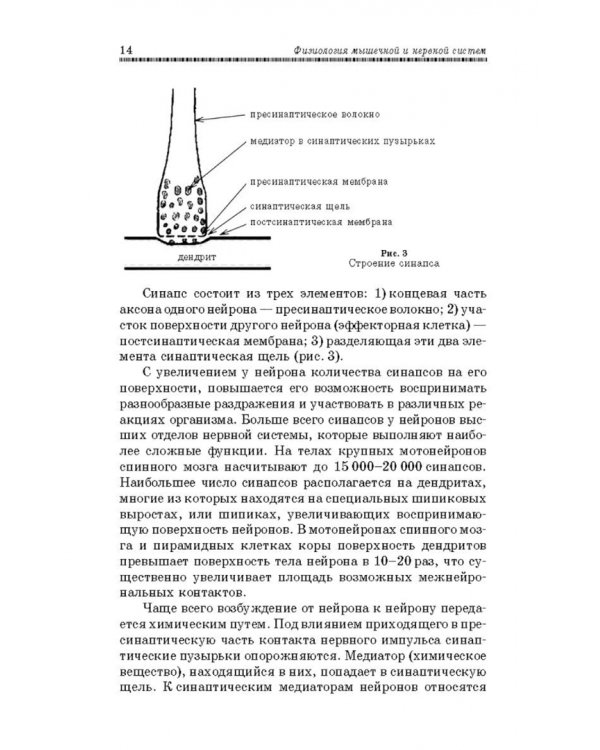 Физиология мышечной и нервной систем. Учебное пособие