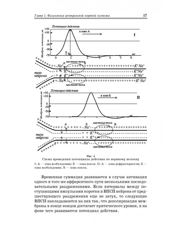 Физиология мышечной и нервной систем. Учебное пособие
