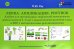 Лепка. Аппликация. Рисунок. Альбом для дошкольников 4-5 лет