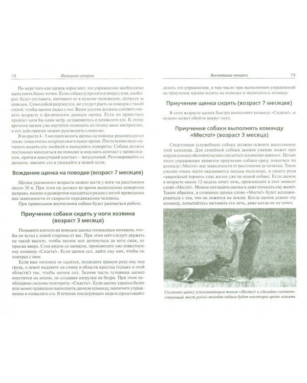 Немецкая овчарка. Сила и преданность