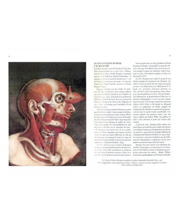 Bourgery. Atlas of Human Anatomy and Surgery