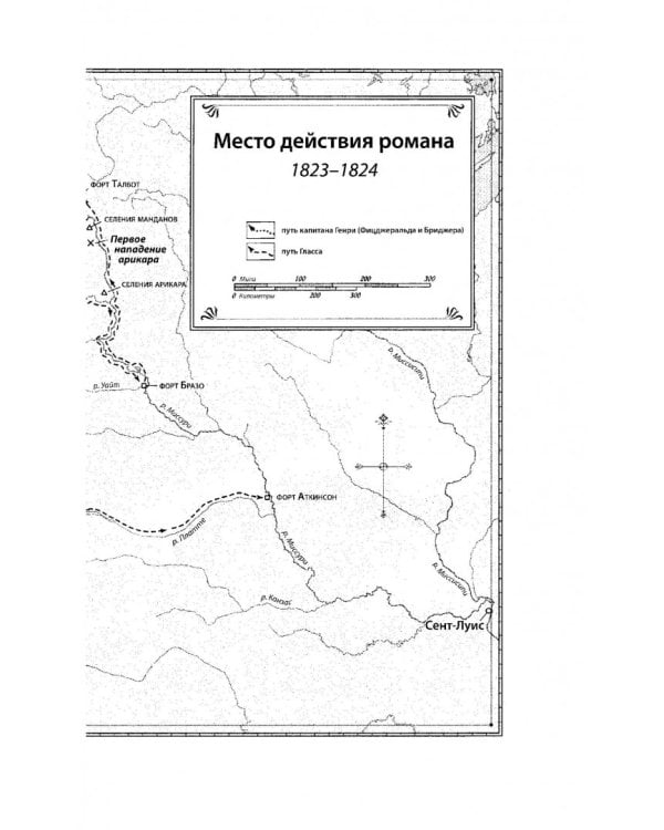 Выживший. Роман о мести