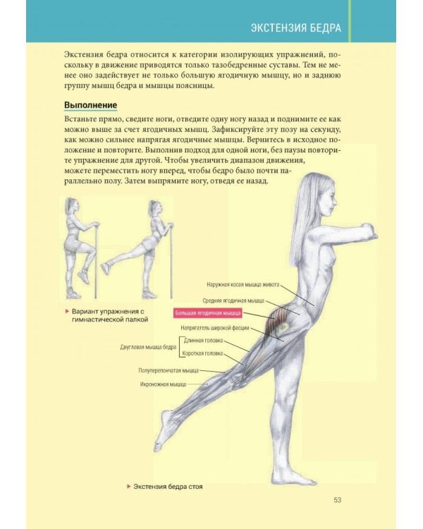 Анатомия силовых тренировок для женщин