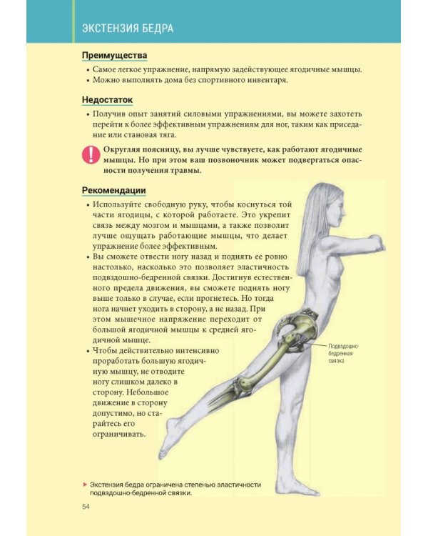 Анатомия силовых тренировок для женщин