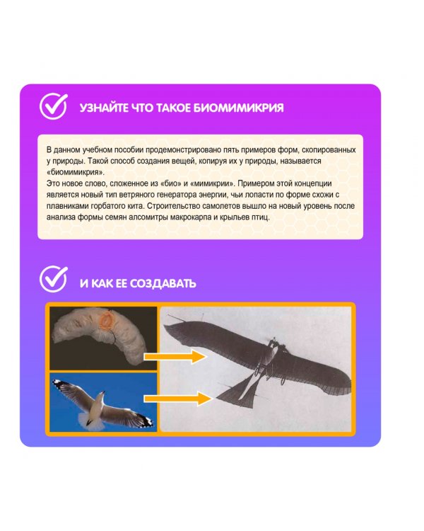 Японские опыты. Науки с Буки. Биомимикрия