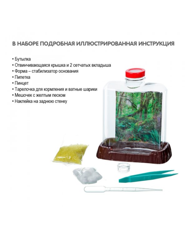 Французские опыты. Науки с Буки. Город муравьёв