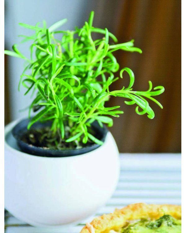 Ни рыбы, ни мяса. О вегетарианской пище и пище для души