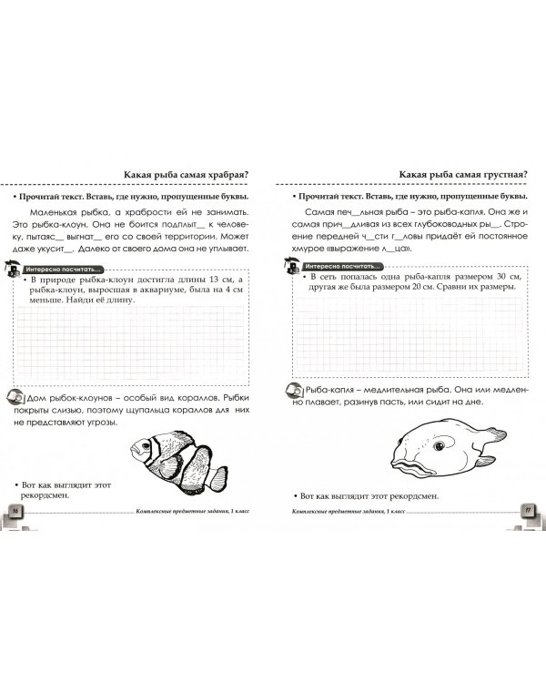 Комплексные предметные задания (1 кл.) по окружающему миру,чтению,математике,русскому языку