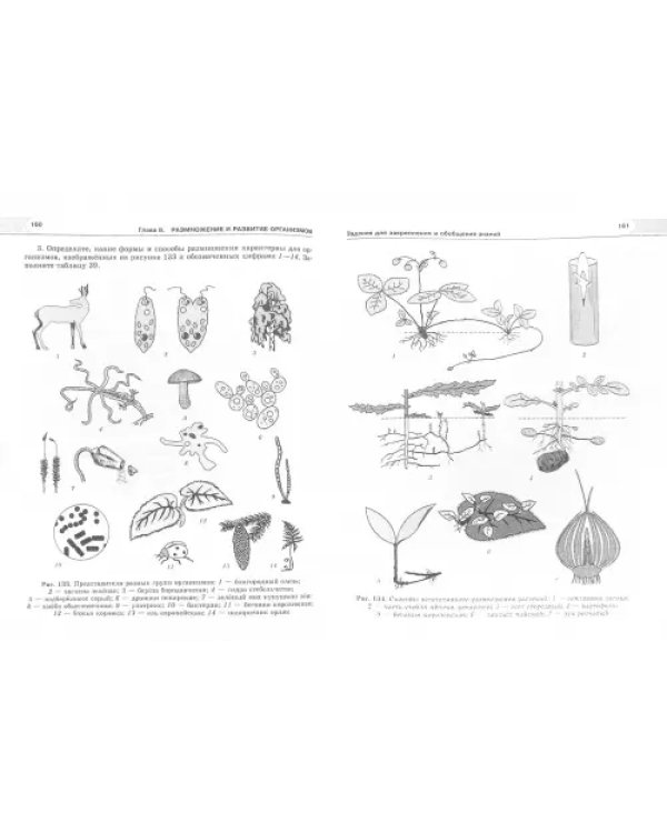 Биология. Биологический системы и процессы. 10 класс. Пособие для сам. работы. Углубл. уровень. ФГОС