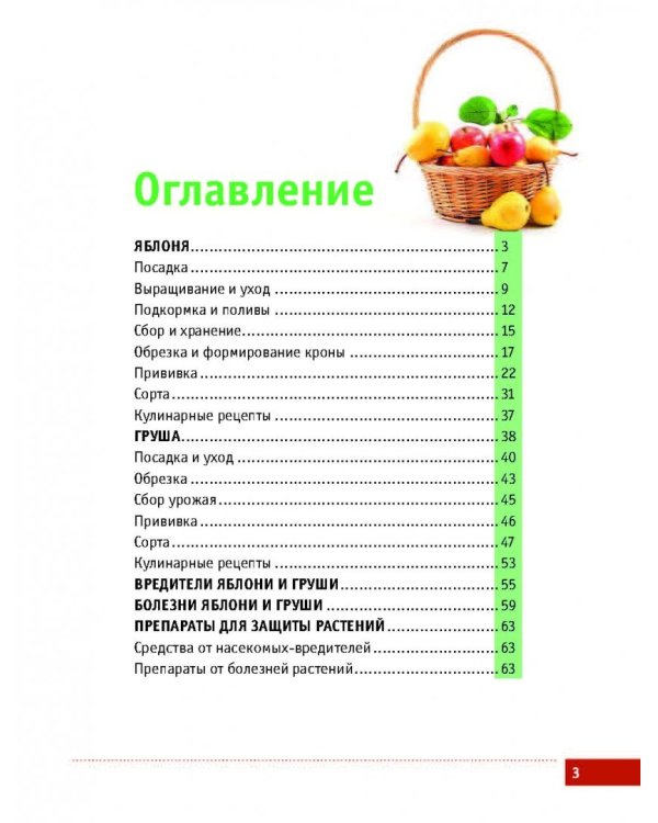 Яблони и груши. Секреты урожая от Октябрины Ганичкиной