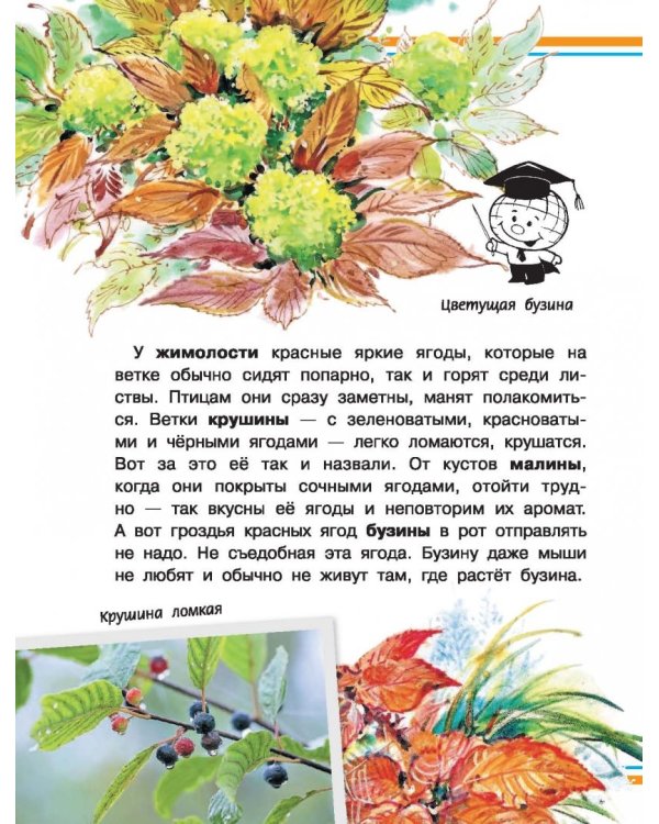 Хочу всё знать