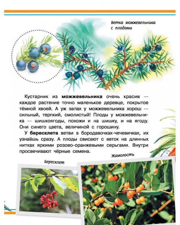 Хочу всё знать