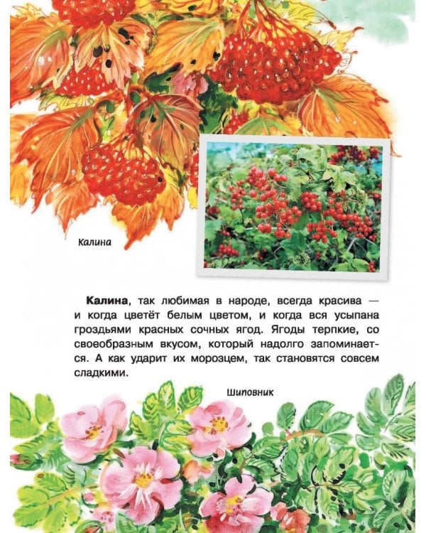 Хочу всё знать