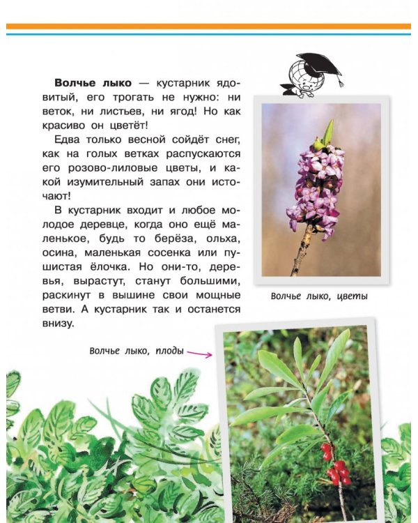 Хочу всё знать