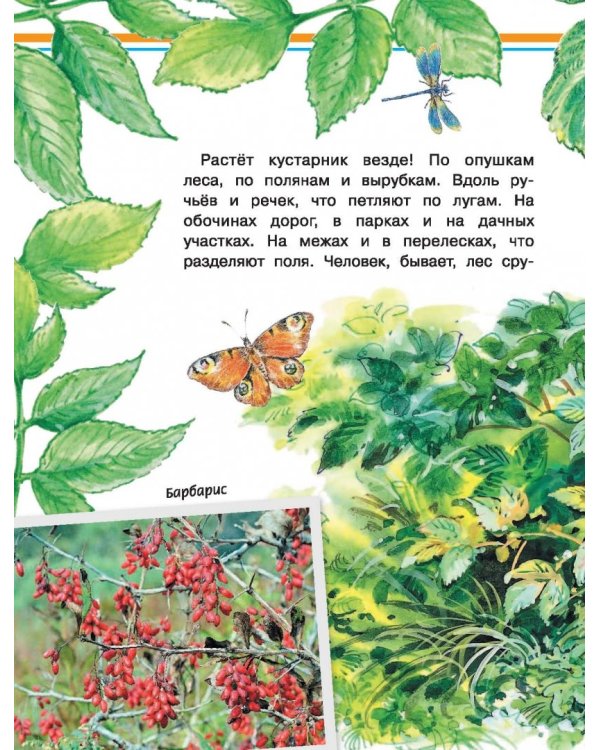 Хочу всё знать