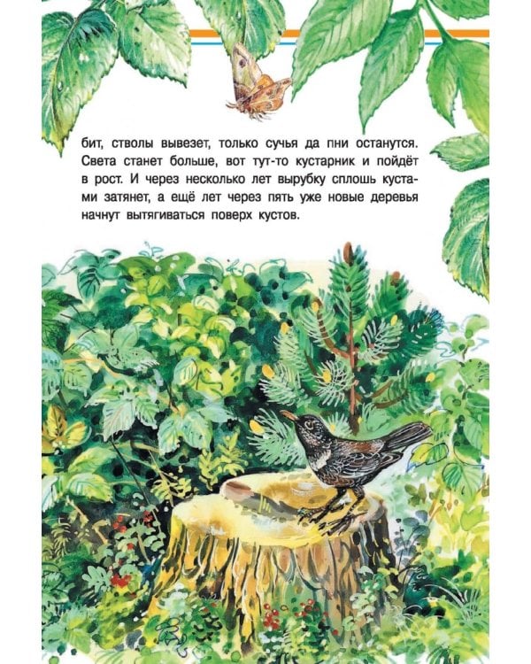 Хочу всё знать