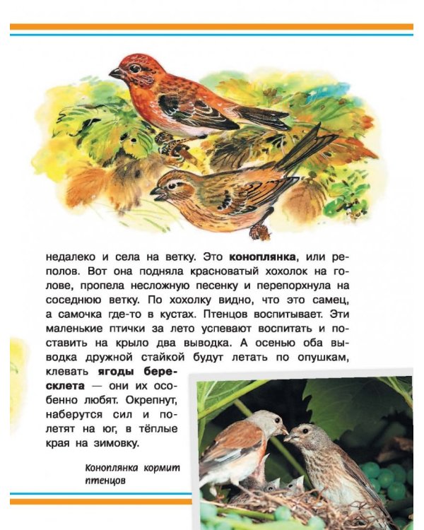 Хочу всё знать