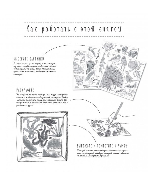 Создания большие и маленькие. 35 постеров для раскрашивания