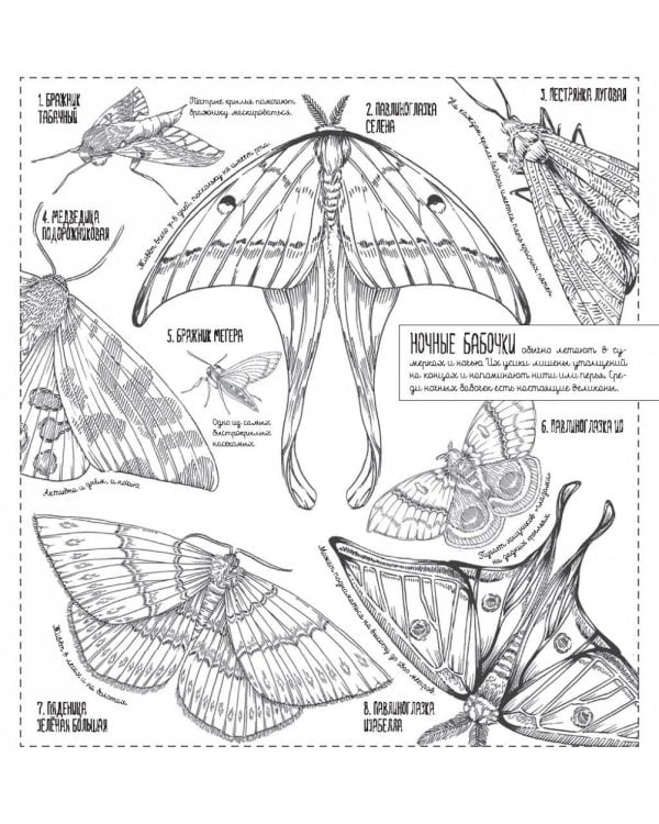 Создания большие и маленькие. 35 постеров для раскрашивания