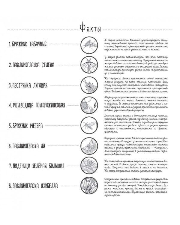 Создания большие и маленькие. 35 постеров для раскрашивания