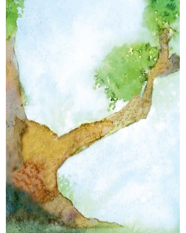 Самые увлекательные приключения для мальчиков