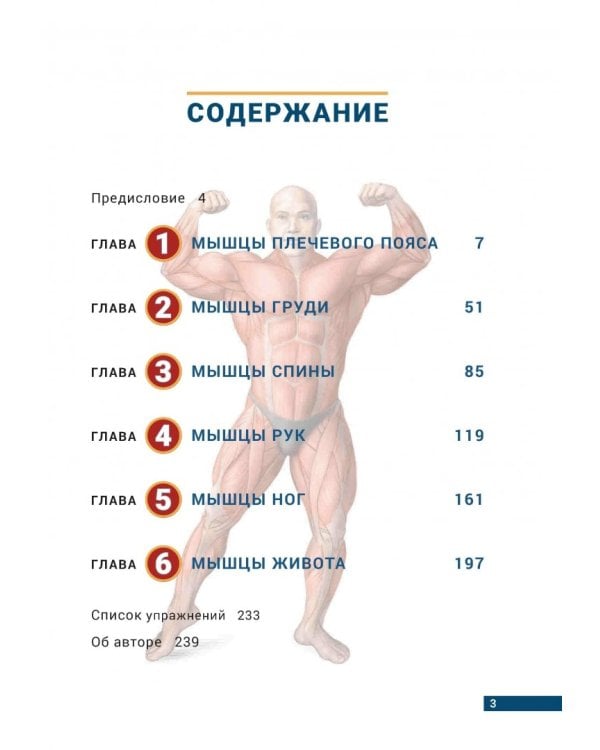 Анатомия бодибилдинга. Иллюстрированное пособие по скульптурной проработке мышц. Новая редакция